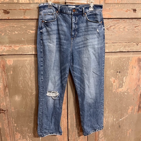 LOFT Denim - #146 LOFT High Waist Straight Crop Jeans